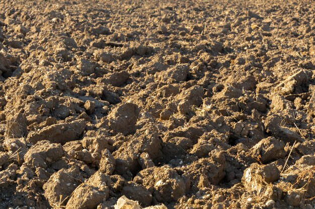 Terra em um campo para cultivos agrícolas