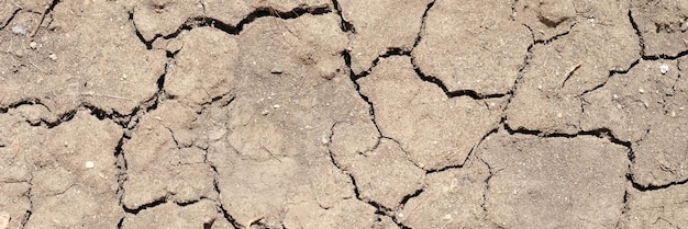Terra estéril em terra seca de verão em fundo de paisagem árida para o aquecimento global