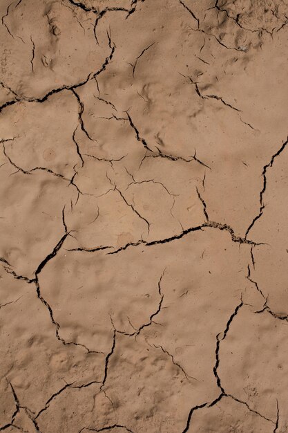 Foto terra lamacenta seca e rachada de cor castanha