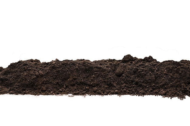 Terra preta para planta isolada no fundo branco. Padrão de solo.