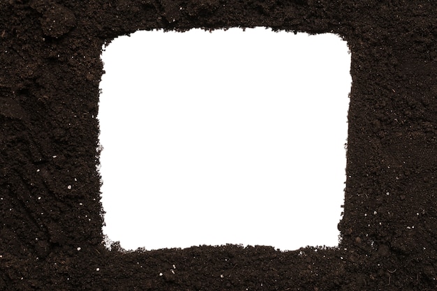 Terra preta para planta isolada no fundo branco. Quadro. Copie o espaço.