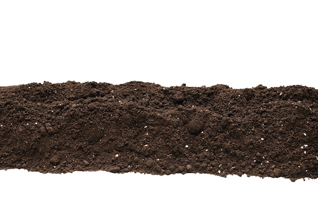 Terra preta para planta isolada no fundo branco. Quadro. Copie o espaço.