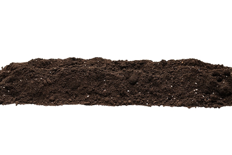 Foto terra preta para planta isolada no fundo branco. quadro. copie o espaço.