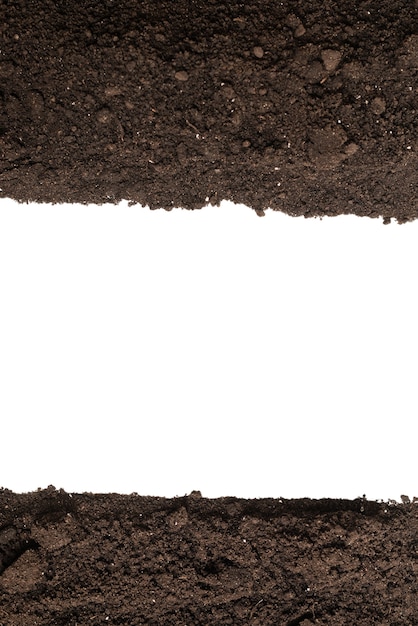Terra preta para planta isolada no fundo branco. Quadro. Copie o espaço.