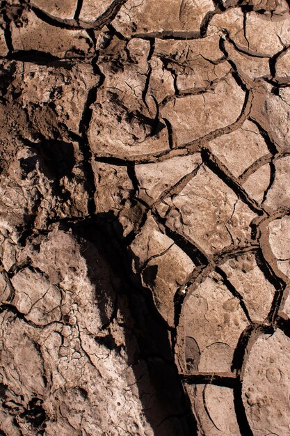 Terra seca e rachada no calor
