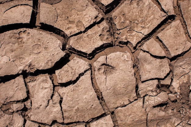 Terra seca e rachada no calor