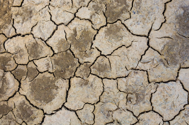 Terra seca por causa da chuva não cair e a terra faltou água para agricultura.