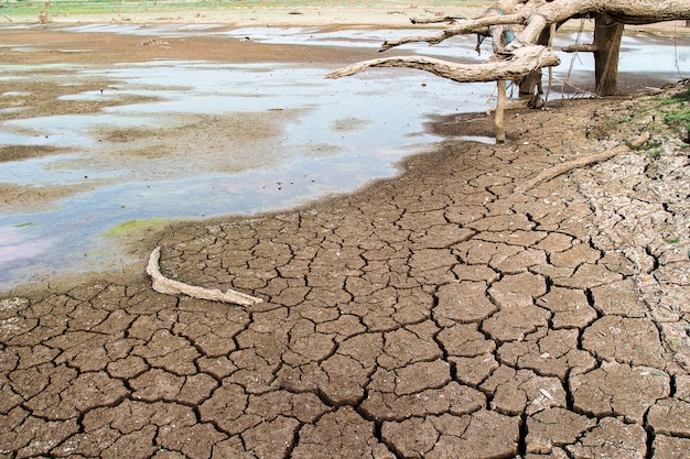 Foto terra seca rachada sem água