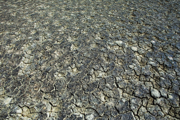 Foto terra seca rachada sem água