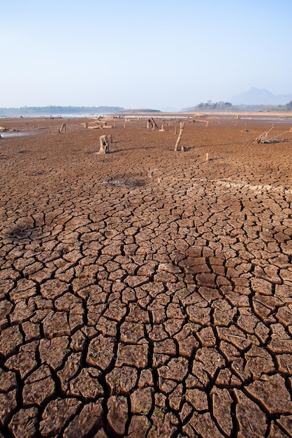 Terra seca rachada sem fundo de água