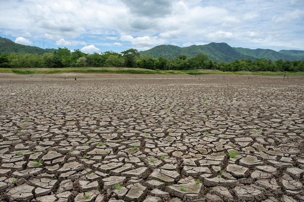 Terra seca rachada sem fundo de água