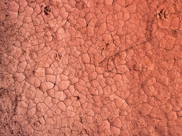 Foto terra seca rachada