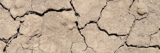 Terra seca sem água efeito seco da terra seca sem fundo de terra seca com água