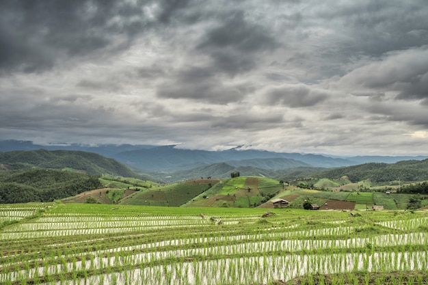 Terraced Paddy Field em Mae-Jam Village, Província de Chiang Mai, Tailândia