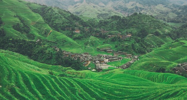 Terraço de arroz longji em guilin e vila tradicional na china