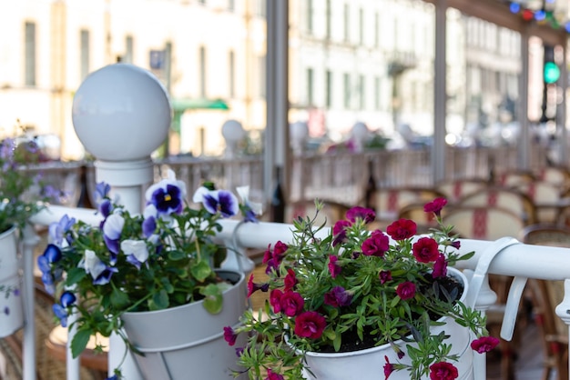 Terraço de verão do restaurante em flores em São Petersburgo Rússia 2022