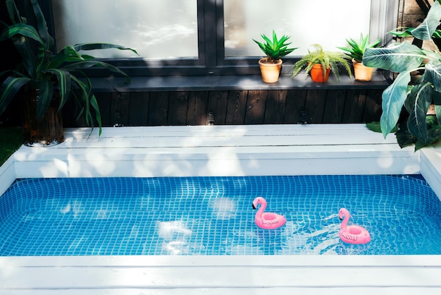 Terraço exterior com piscina em casa Flamingos infláveis cor-de-rosa na água da piscina