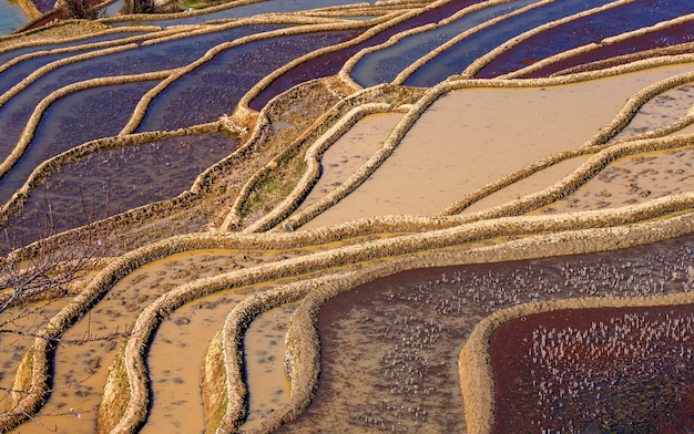 Terraços de arroz em Yuanyang, China