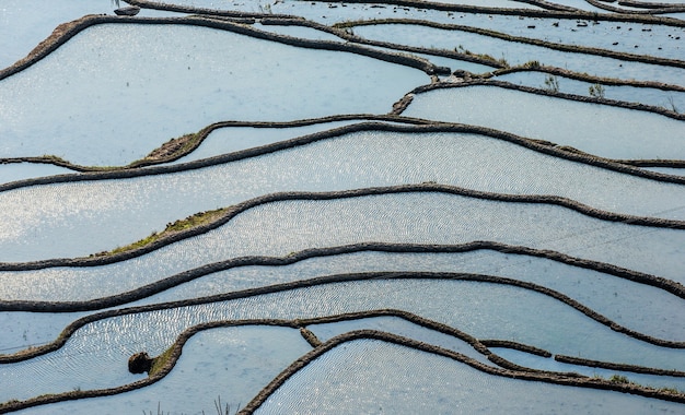 Terraços de arroz em Yuanyang, China