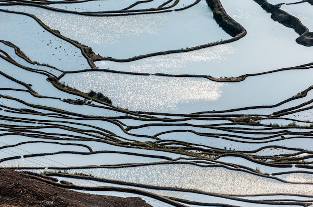 Terraços de arroz em Yuanyang, China