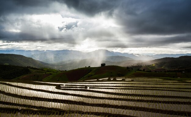 Terraços de arroz nas montanhas com céu nublado