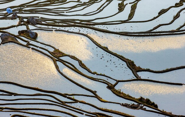 Terraços de arroz no condado de Yuanyang. Província de Yunnan. China.