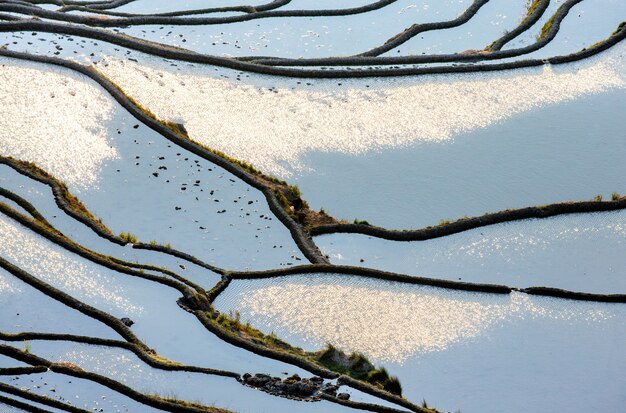 Terraços de arroz no condado de Yuanyang. Província de Yunnan. China.