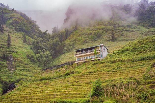 Terraços de arroz no nevoeiro nos campos de arroz da Sapa Vietname preparam a colheita no noroeste do Vietname