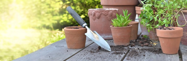 Terrakotta-Blumentöpfe mit Sukkulenten und Schaufel auf einem Tisch im Garten