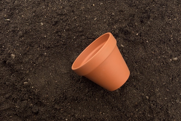 Terrakotta wachsender Topfgarten auf Bodenhintergrund