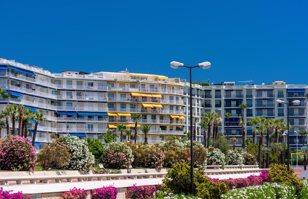 Terraplén con flores y palmeras en Cannes Francia