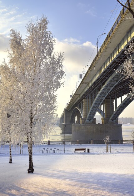 Terraplén de Michaels en invierno Los arcos del puente Oktyabrsky un abedul en un claro nevado