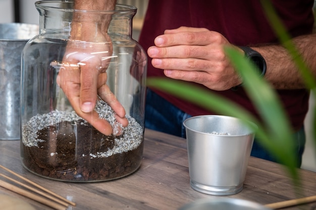 Terrário feito à mão com plantas verdes