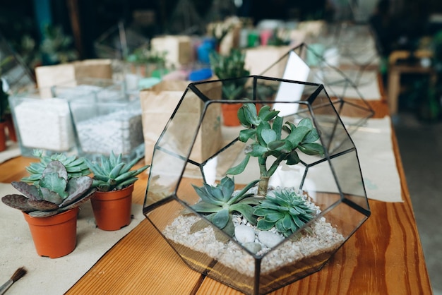 Terrario de florario geométrico de vidrio con suculentas piedras de arena, jarrón de Metal hecho a mano para decoración del hogar y decoración de mesa