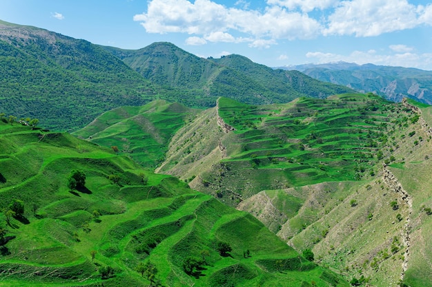 Terras agrícolas em terraços nas encostas das montanhas no Daguestão