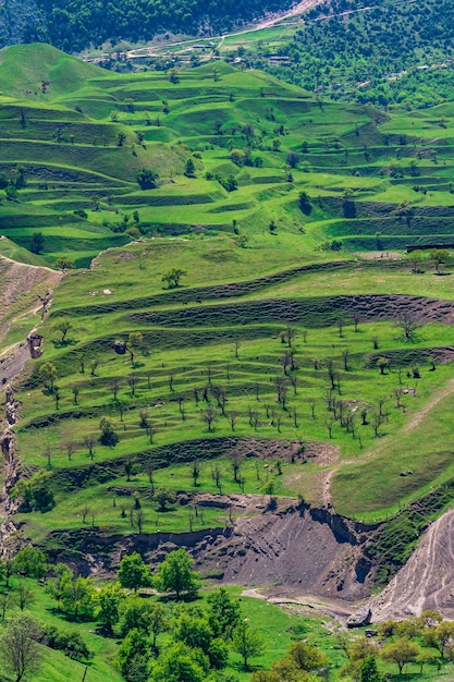 Terras agrícolas em terraços nas encostas das montanhas no Daguestão