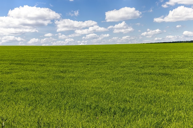 Foto terras agrícolas