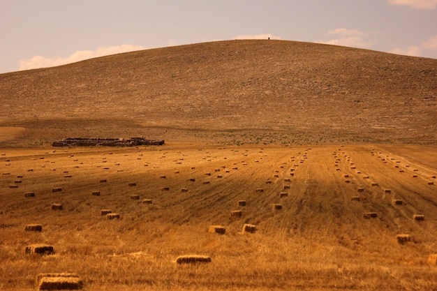 terras agrícolas