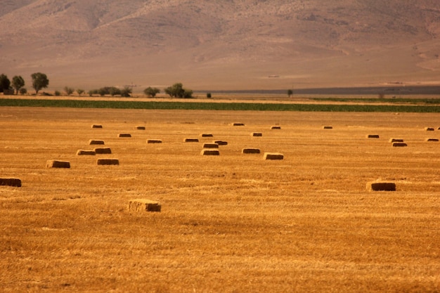 terras agrícolas