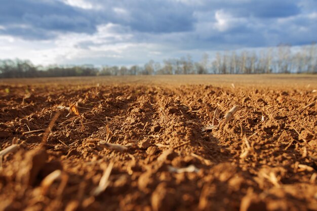 Terras aradas antes do inverno Terras agrícolas Agricultura