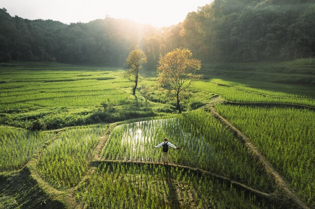Terras de arroz em florestas rurais ao anoitecer