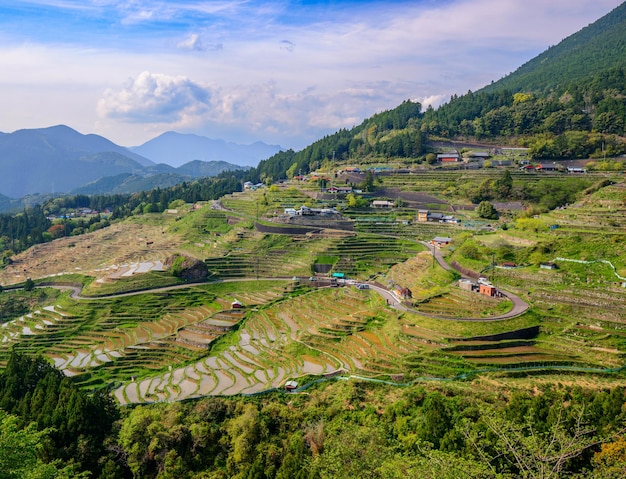 Terras de arroz japonesas em Kumano, Japão