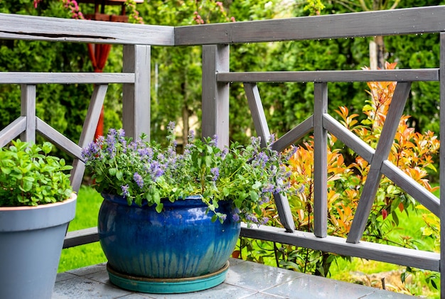 Terrassenbereich mit grauem Geländer und blauem Blumentopf