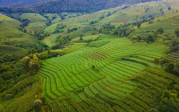 Terrassenreiche Reisfelder in Chiangmai, Thailand