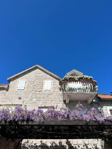 Terraza en una antigua casa de piedra entrelazada con glicinas moradas