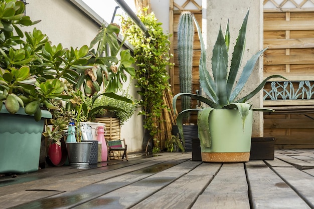 Una terraza en un ático de un piso con madera oscura