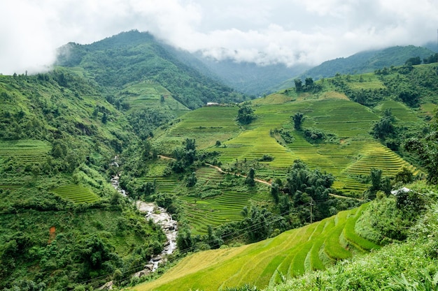 Terraza de campo de arroz con río en el valle