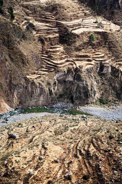 Terraza en la orilla del río de montaña