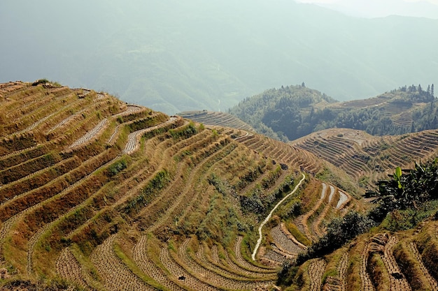 Terraza de plantación de arroz en la montaña en China Hermosa tierra agrícola agrícola de pueblo tradicional