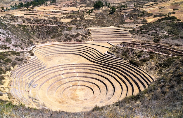 Terrazas agrícolas en moray en perú